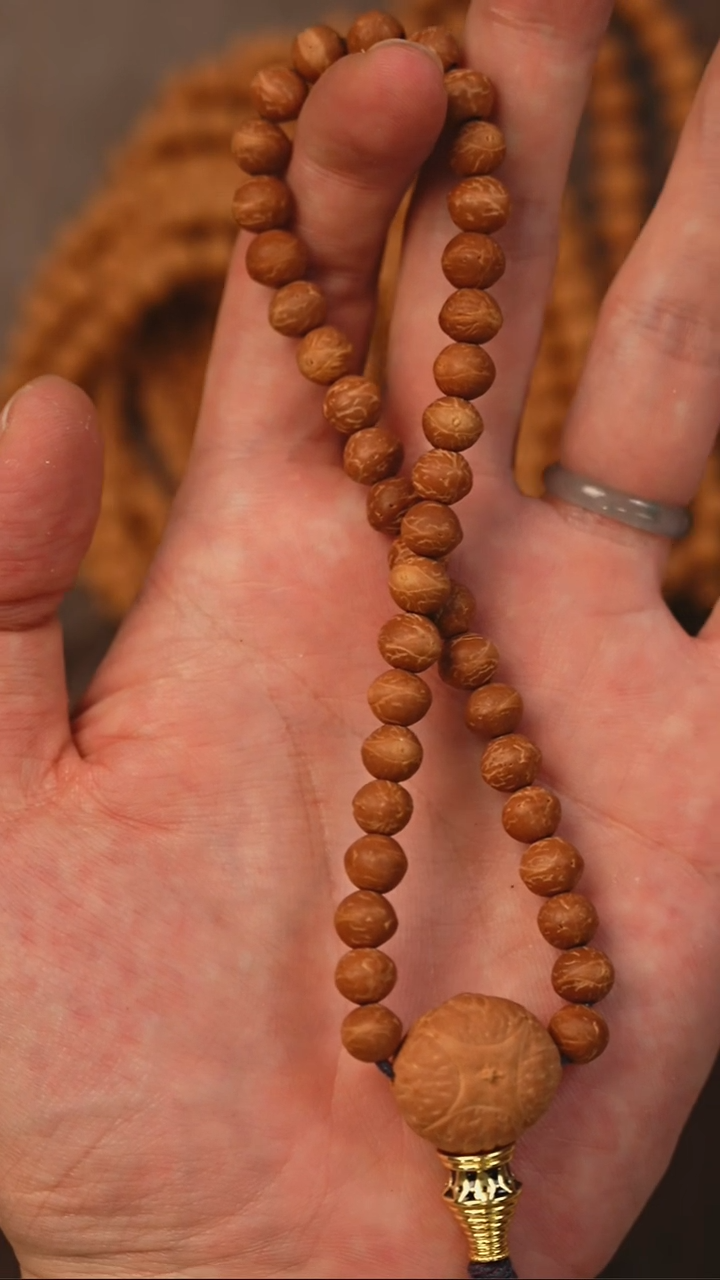 手串凤眼菩提S05酸枣核单圈