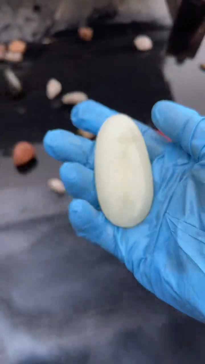 颈饰未镶嵌和田玉（糖玉）001