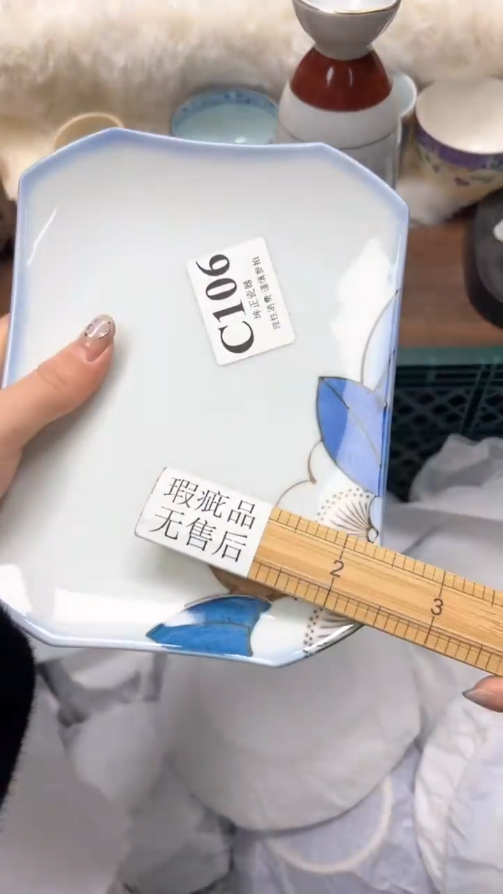 【闪购商品】瓷片          C105