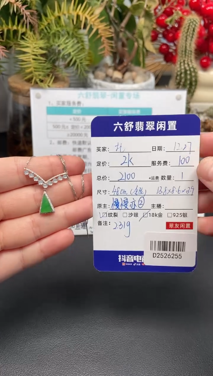 颈饰18K金镶嵌翡翠扎****孩D2526255