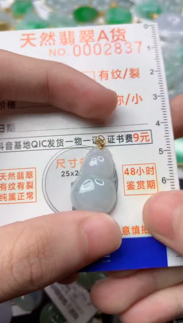 【闪购商品】翡翠颈饰18K金镶嵌3.............