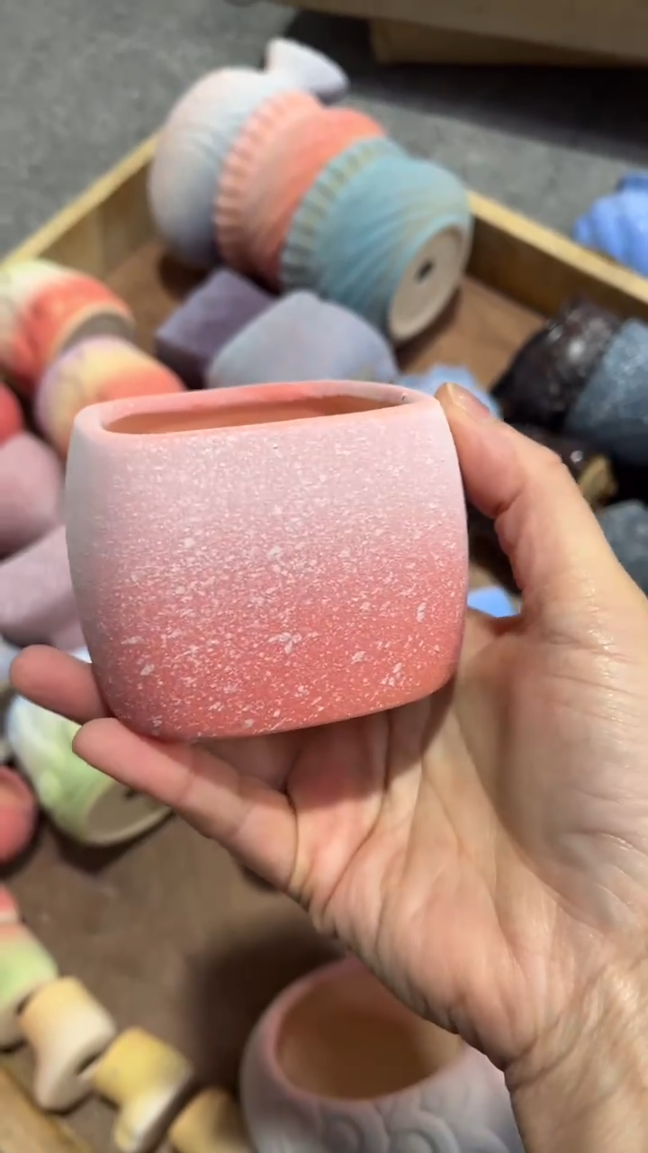 【闪购商品】红陶6*6