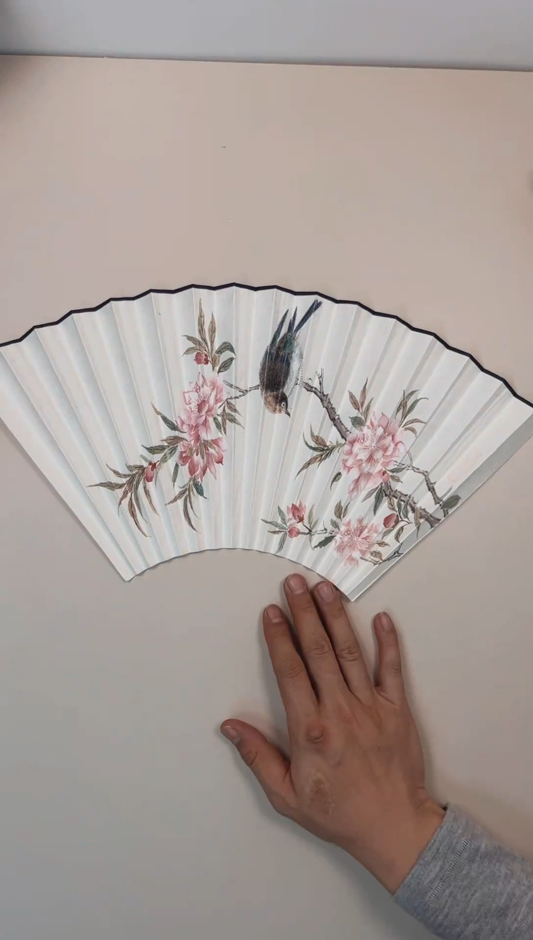 扇子16方2.0排口师韵扇面