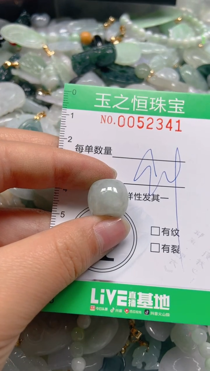 【闪购商品】翡翠颈饰未镶嵌闪购0052341