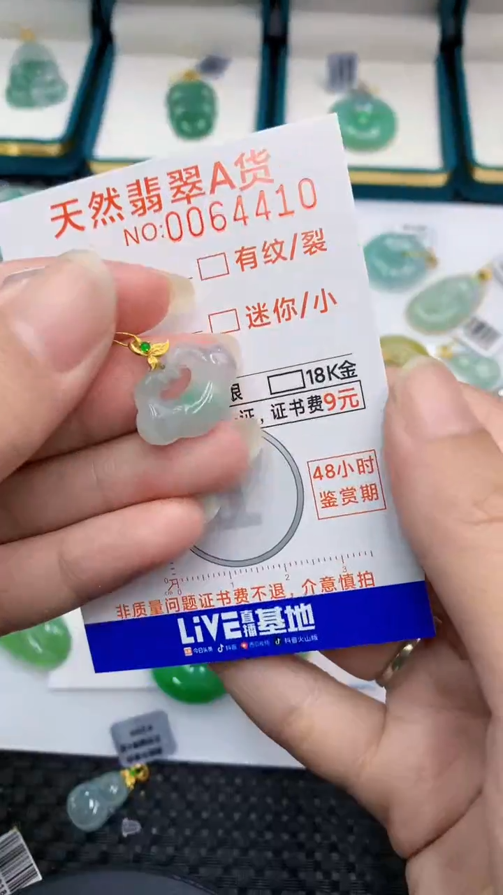 【闪购商品】翡翠颈饰18K金镶嵌            8