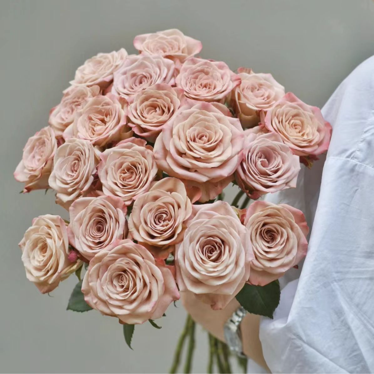 【FL卡布奇诺玫瑰】斗南鲜花云南直发玫瑰鲜花两单京东冷链包邮