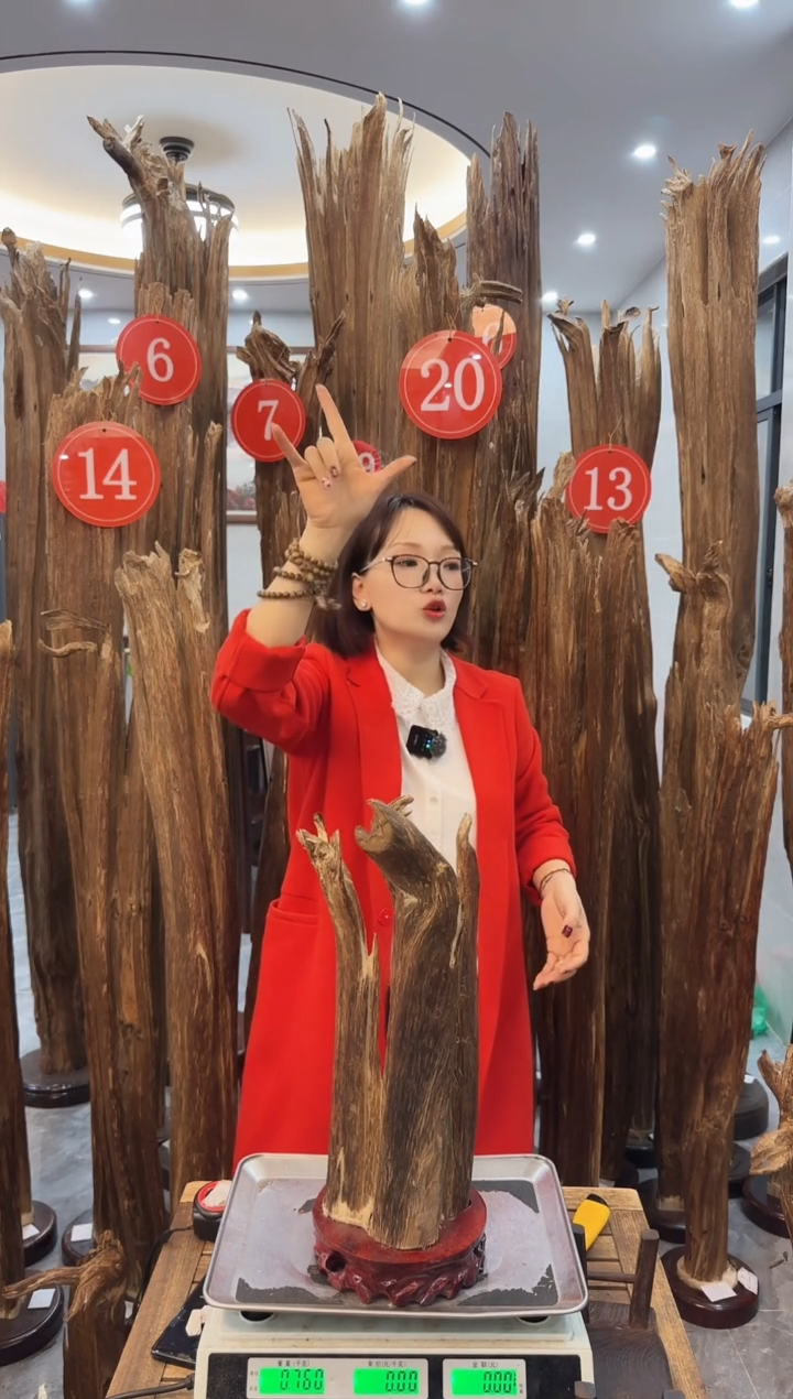 【闪购商品】沉香摆件沉香摆件23