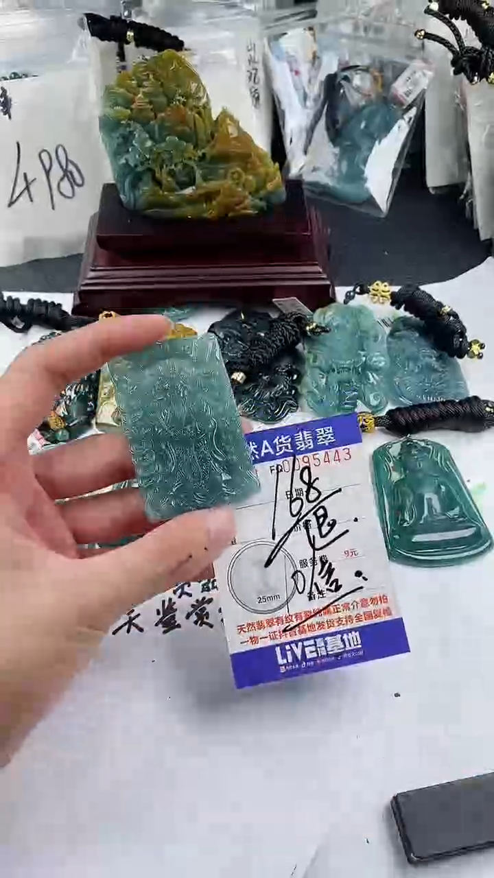 【闪购商品】翡翠颈饰未镶嵌            