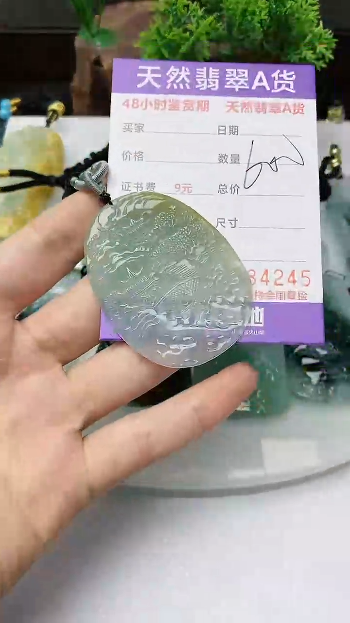 【闪购商品】翡翠颈饰未镶嵌        