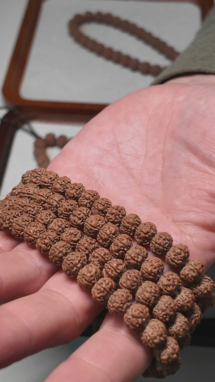 勿里达老树王108  今日福利价  限一条  9.5