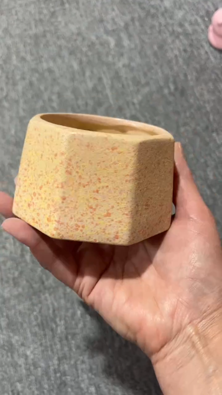 【闪购商品】红陶8*6