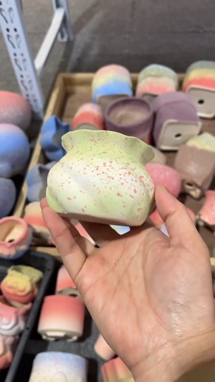 【闪购商品】红陶6*6