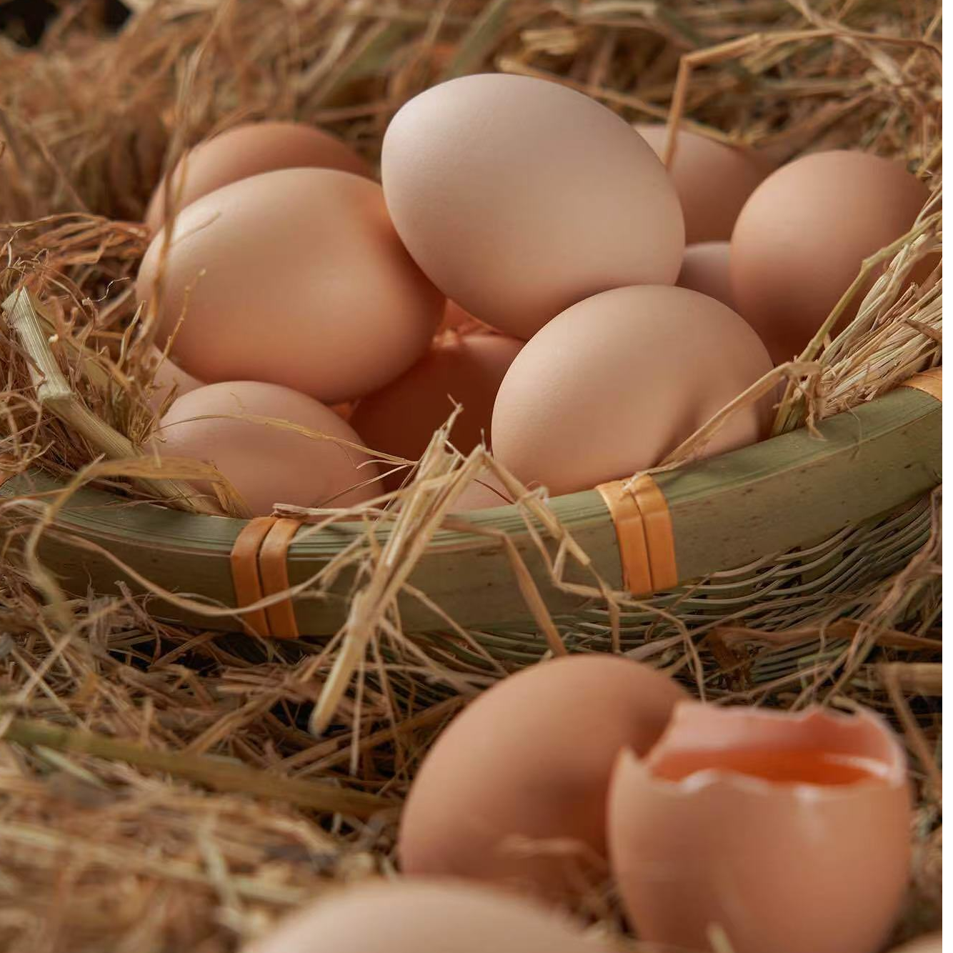 20枚 农家散养土鸡蛋 新鲜营养健康土鸡蛋