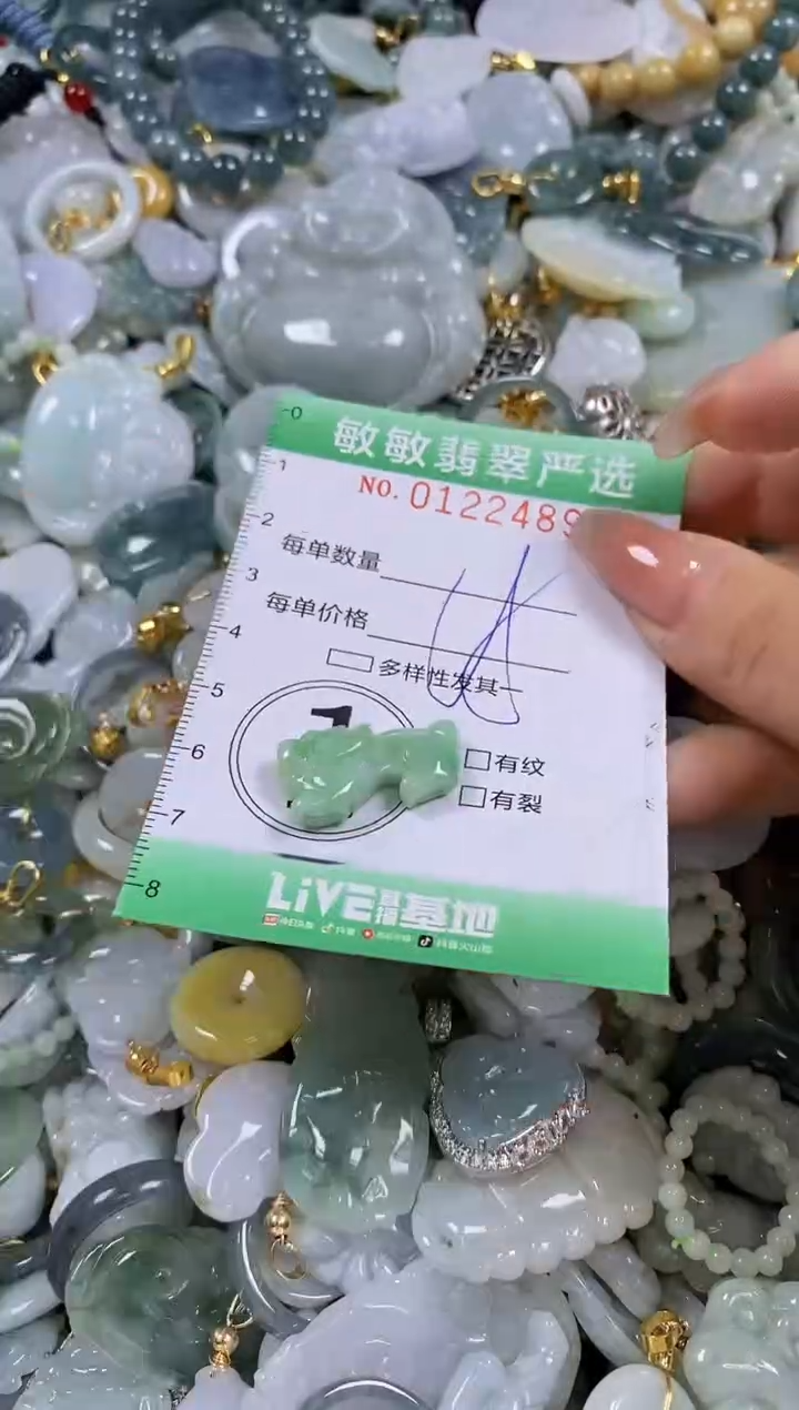 【闪购商品】翡翠颈饰未镶嵌闪购01224898