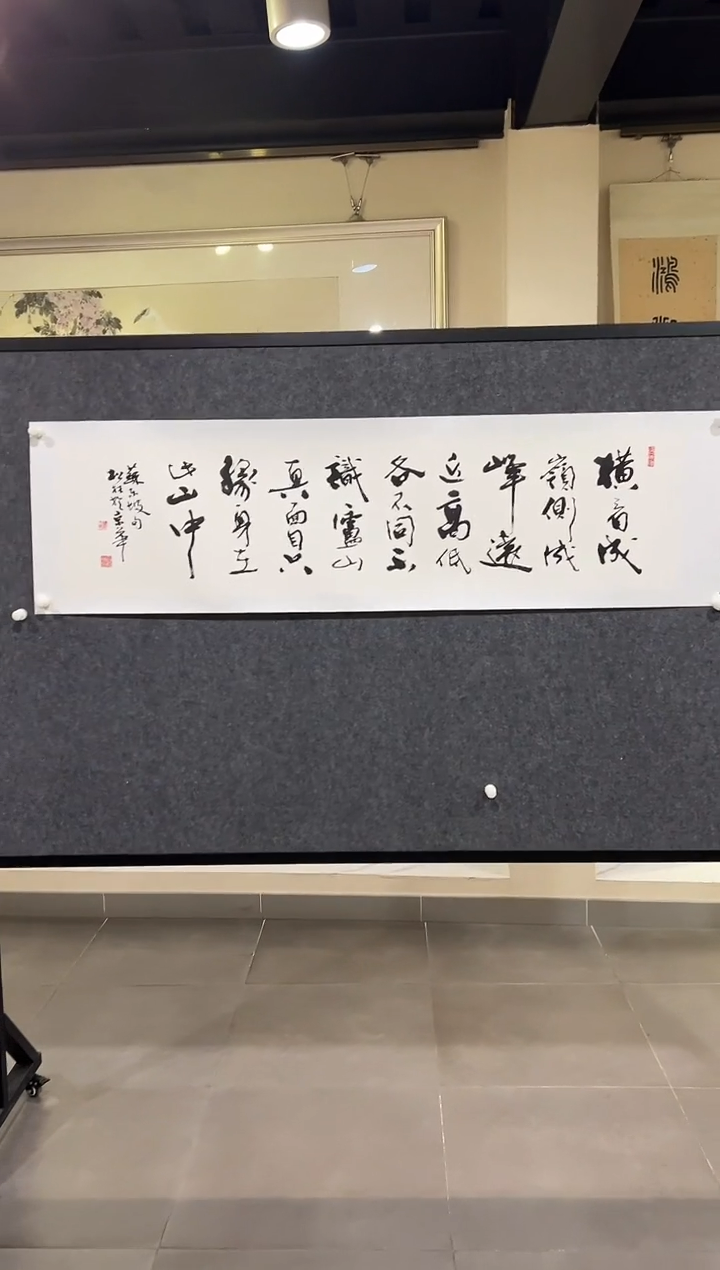 书法水****人LSL 精品书法作品-4多