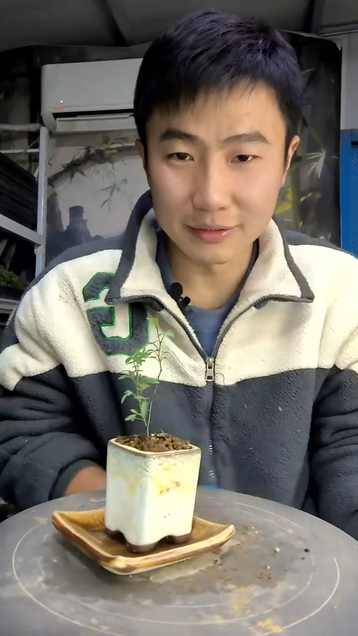 古*那中青园艺一物一拍124