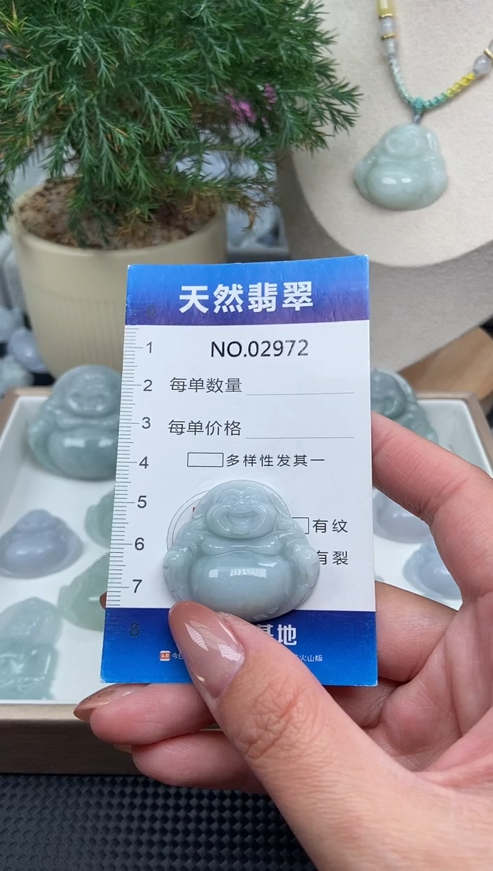 颈饰未镶嵌翡翠纯天然A货缅翡2972