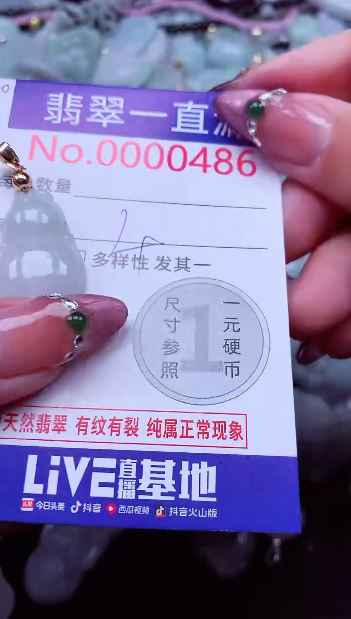 颈饰未镶嵌翡翠486