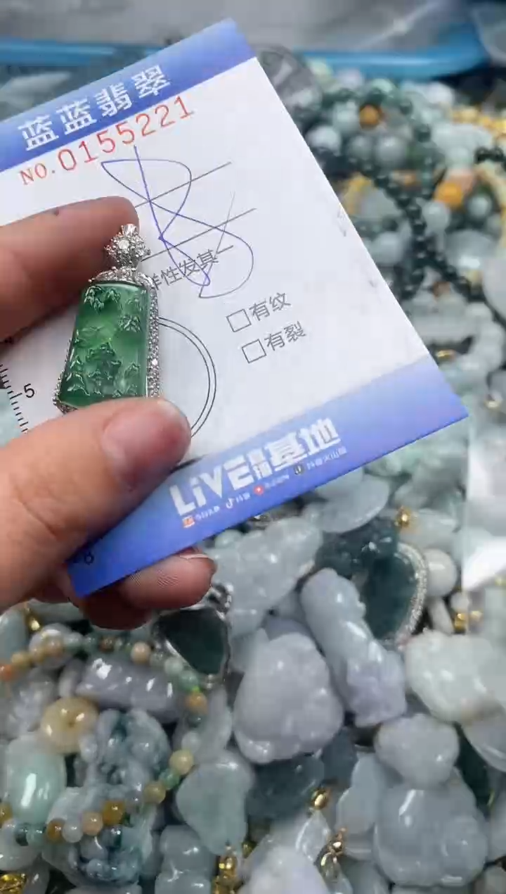 【闪购商品】翡翠颈饰未镶嵌闪购0155221