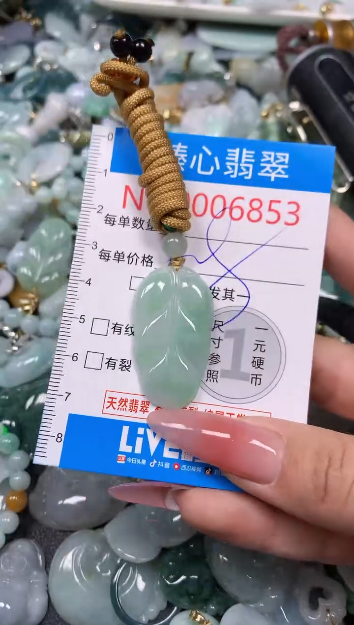 【闪购商品】翡翠颈饰未镶嵌含绳0006853
