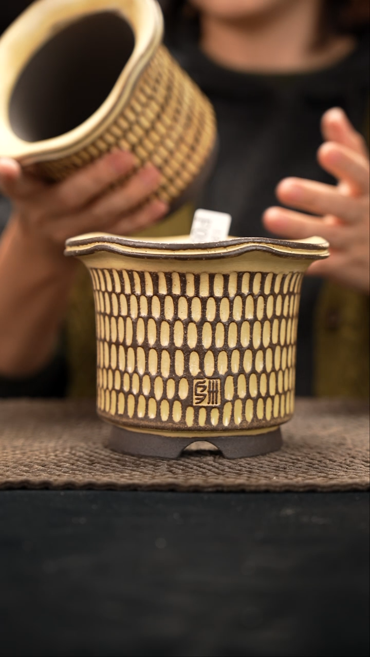 口径10.5花盆-12-06-055特