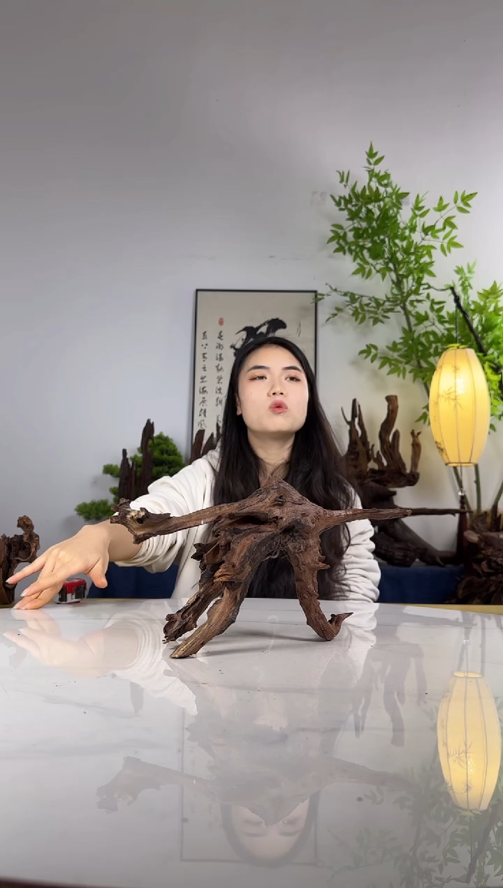 五*二拍这个定向编号60