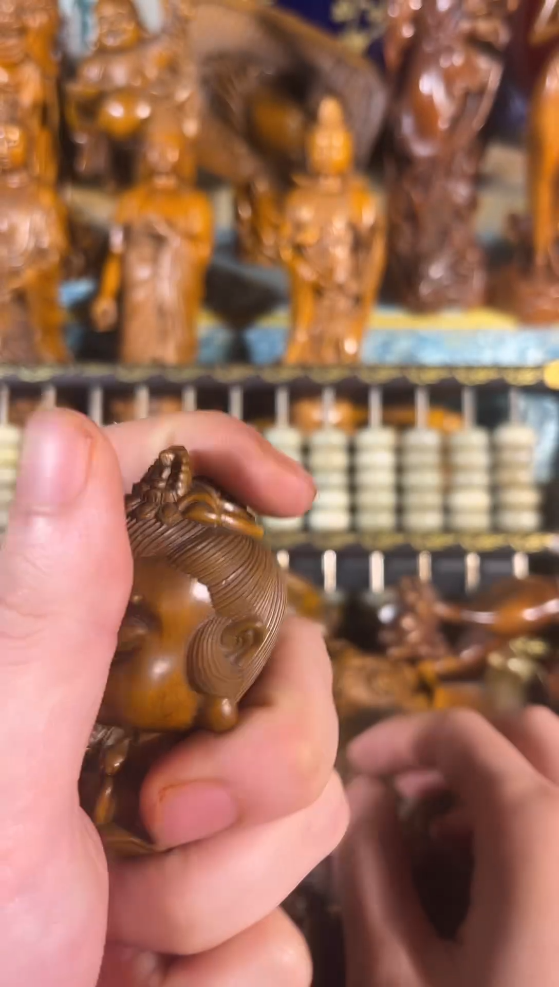 黄杨木11111111111111111