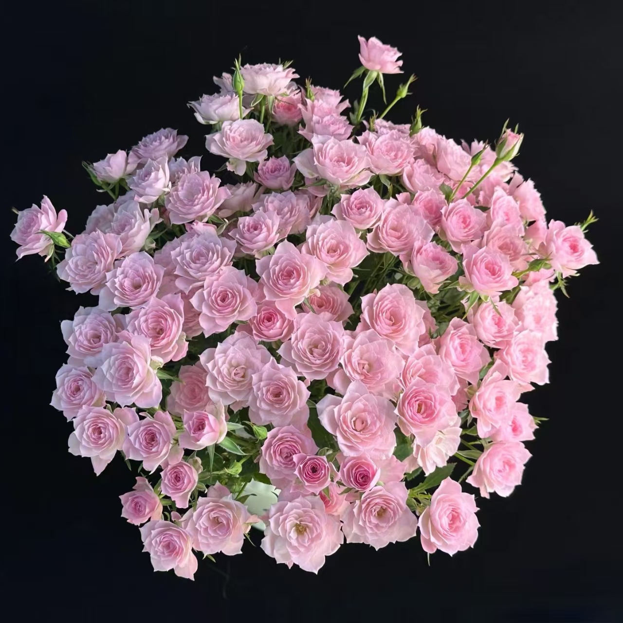  【完美甜蜜】多头玫瑰（全场同一地址两单顺丰冷链包邮噢~）