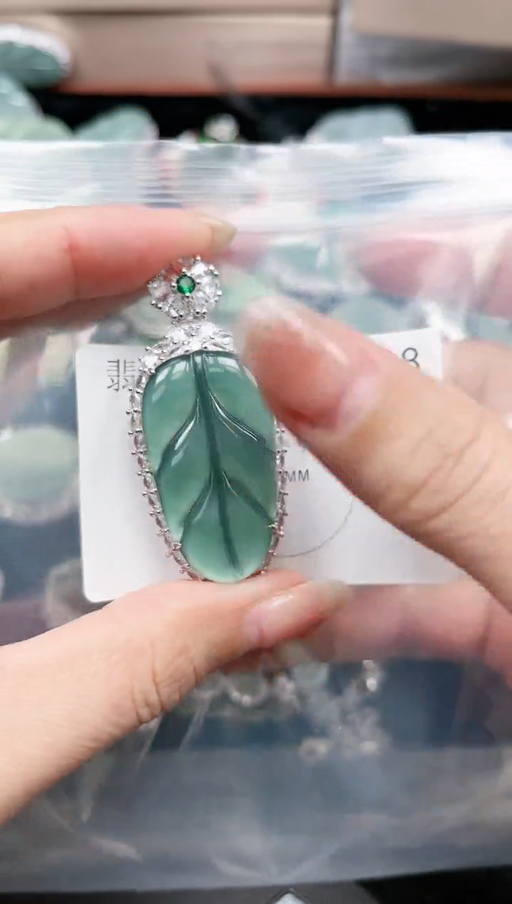 【闪购商品】翡翠颈饰未镶嵌1088赠皮绳