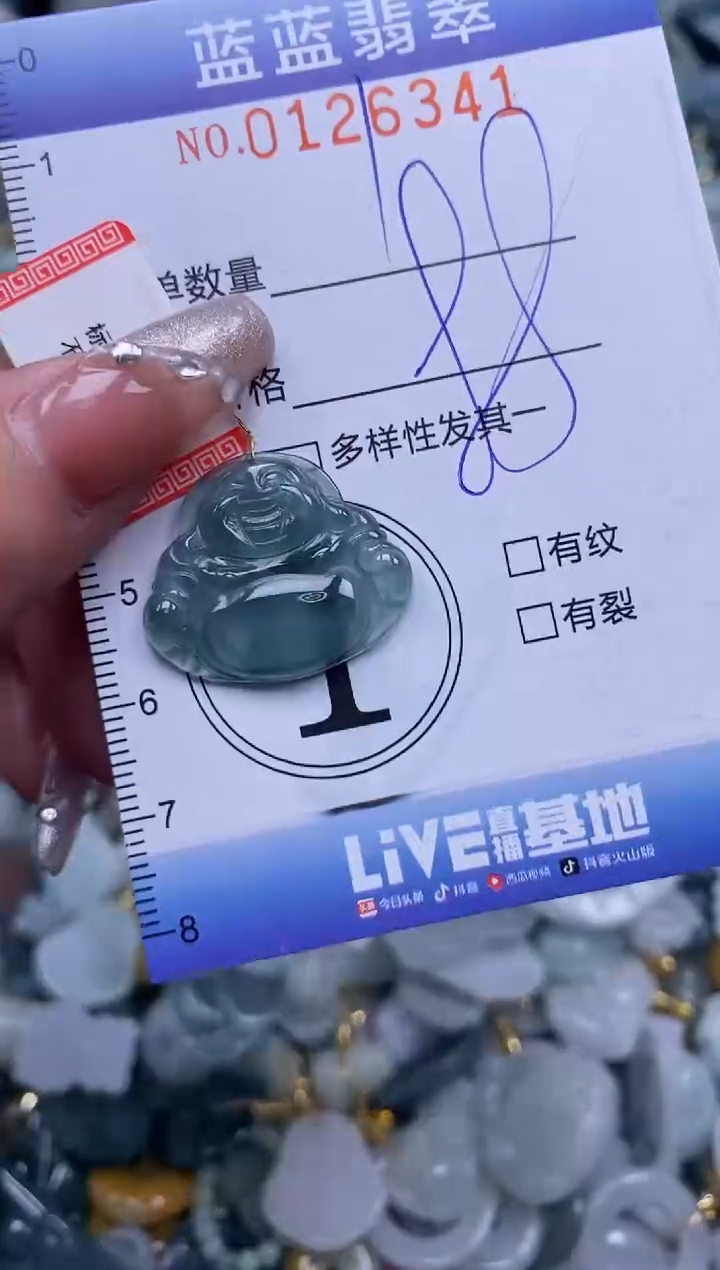 【闪购商品】翡翠颈饰未镶嵌闪购0126341