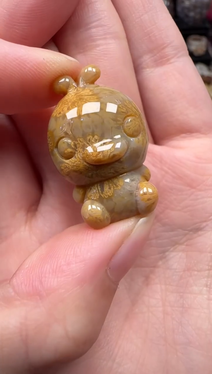 颈饰未镶嵌硅化珊瑚（珊瑚玉）371