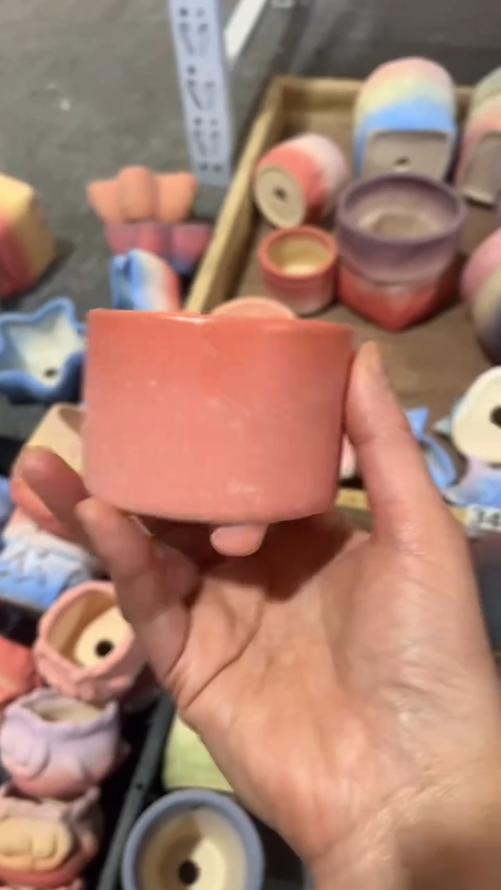 【闪购商品】红陶6*6