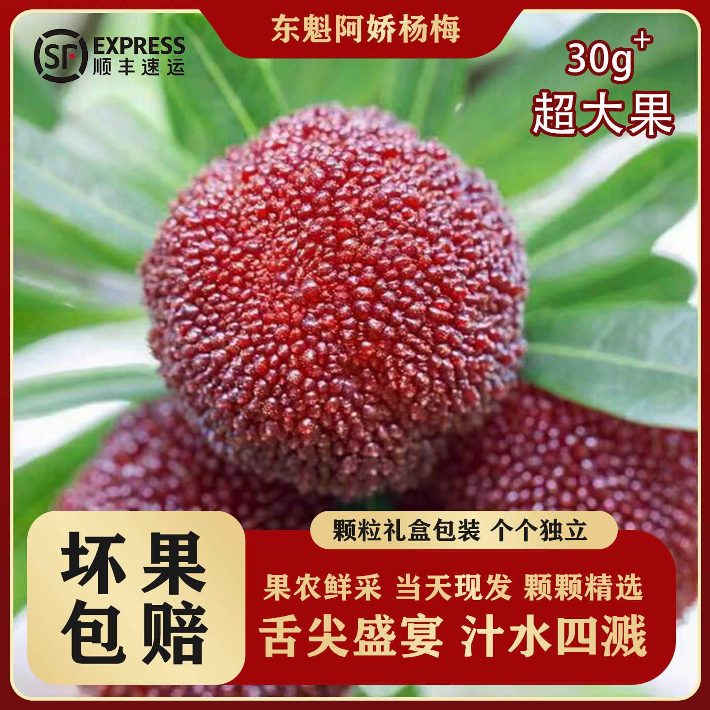 【臻品果王】阿娇农庄仙居东魁杨梅超级大果新鲜时令顺丰冷链礼盒装