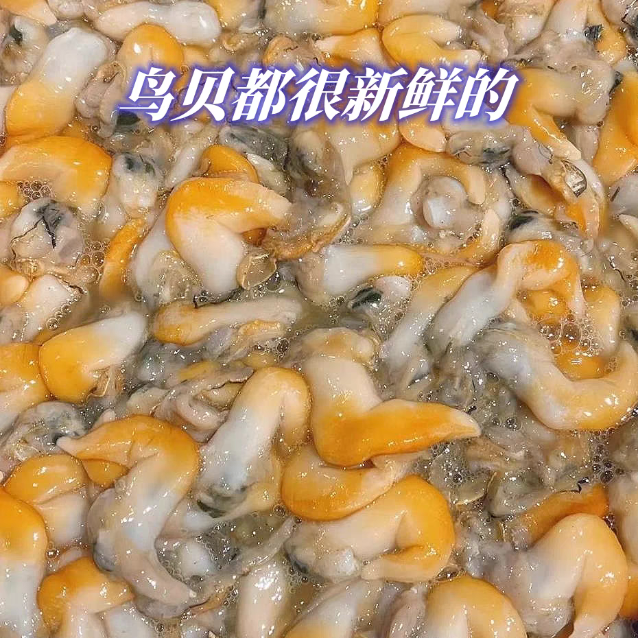 鸟贝肉鲜活现挖新鲜海鲜贝类鸟蛤火锅烧烤食材刺身大连特产
