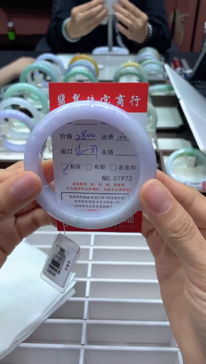 未镶嵌手镯翡翠1973****