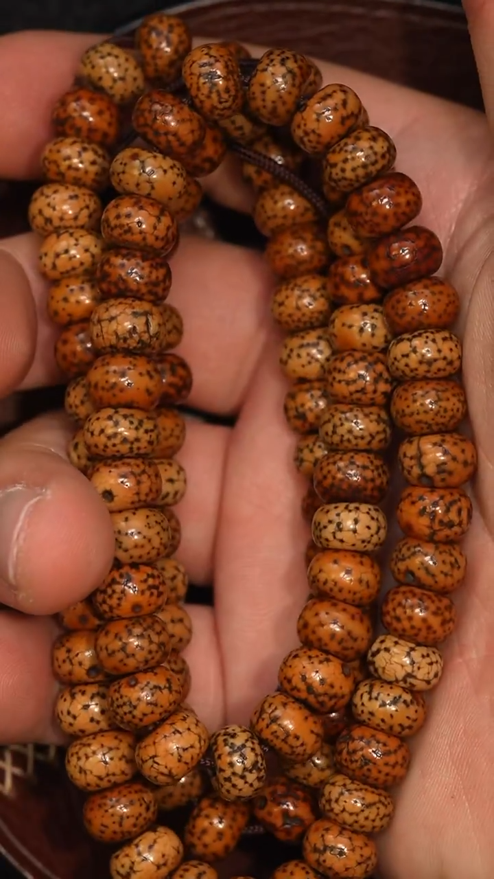 冲赛康胡子哥，藏传念珠245