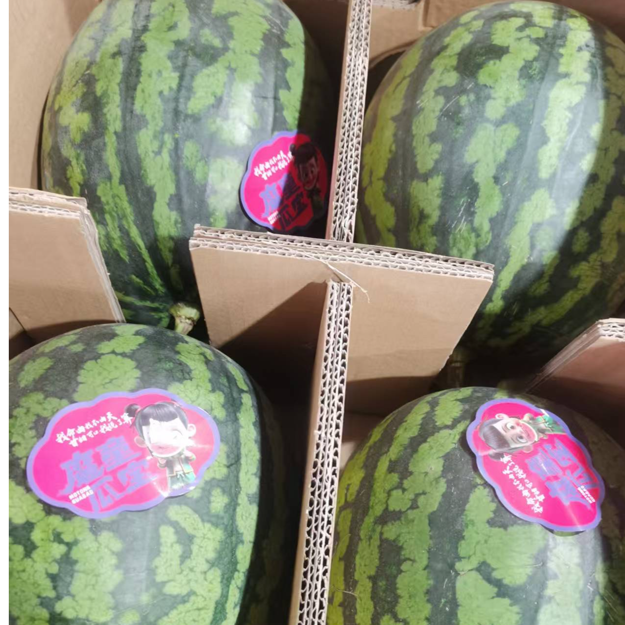 甘美4K西瓜顺丰包邮g【阿班果业】甘美新鲜广西壮族自治区