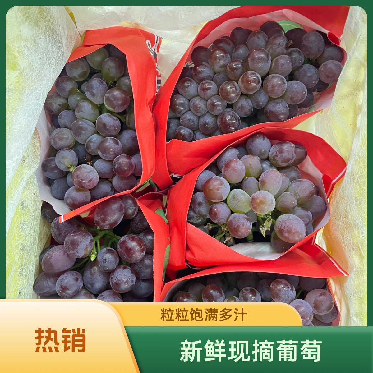 【茉莉香葡萄】份/1盒2.5斤左右仅限柳林离石中阳可拍新鲜云南省