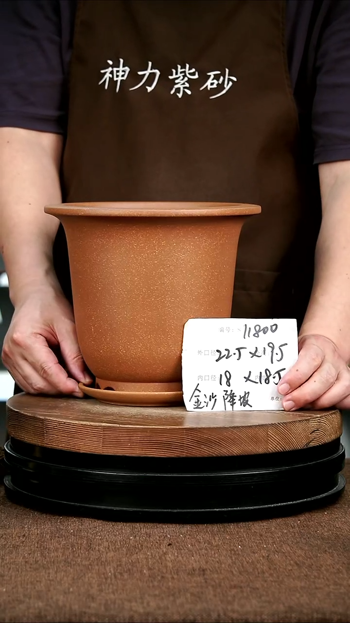 紫砂花盆花卉园艺11800+Z