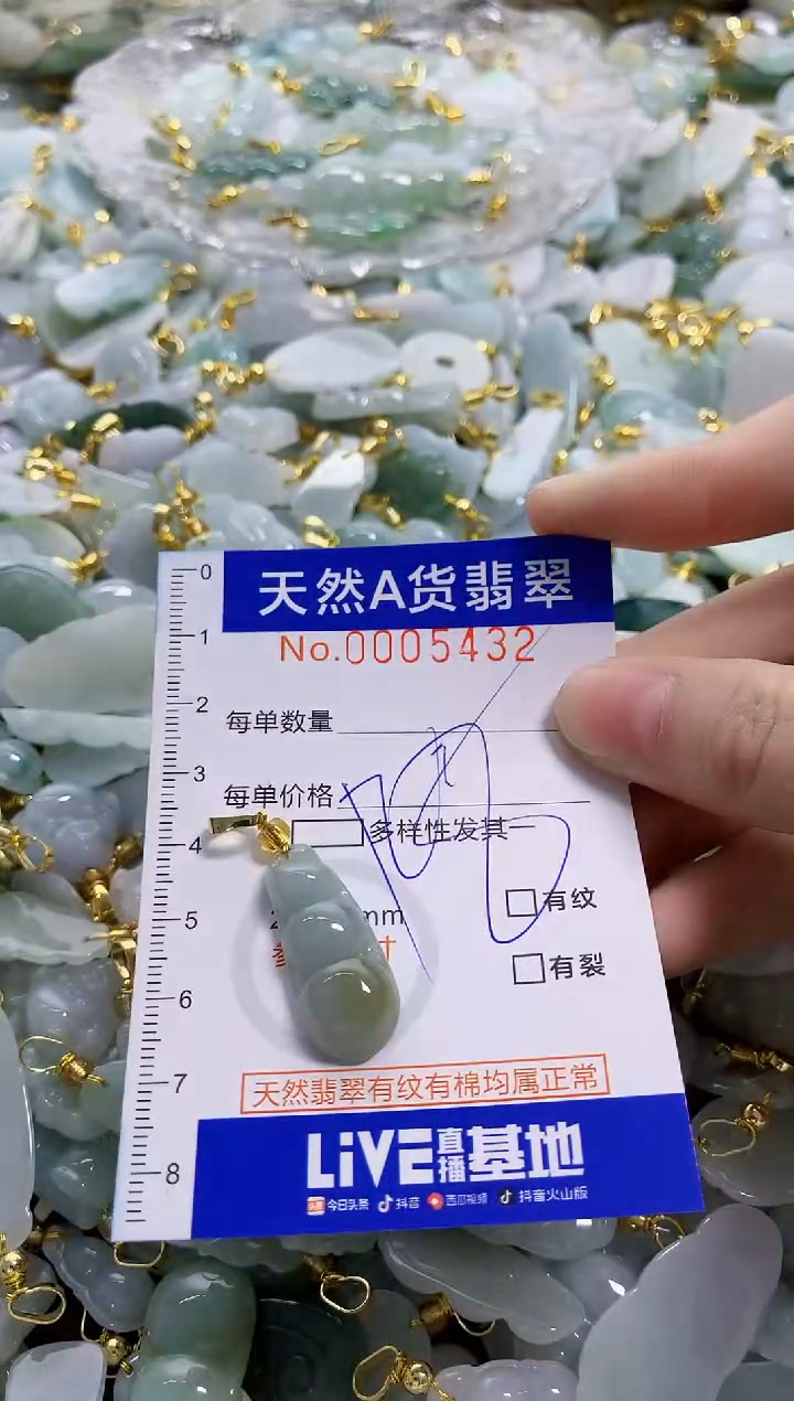 颈饰未镶嵌翡翠天**命天然A货翡翠