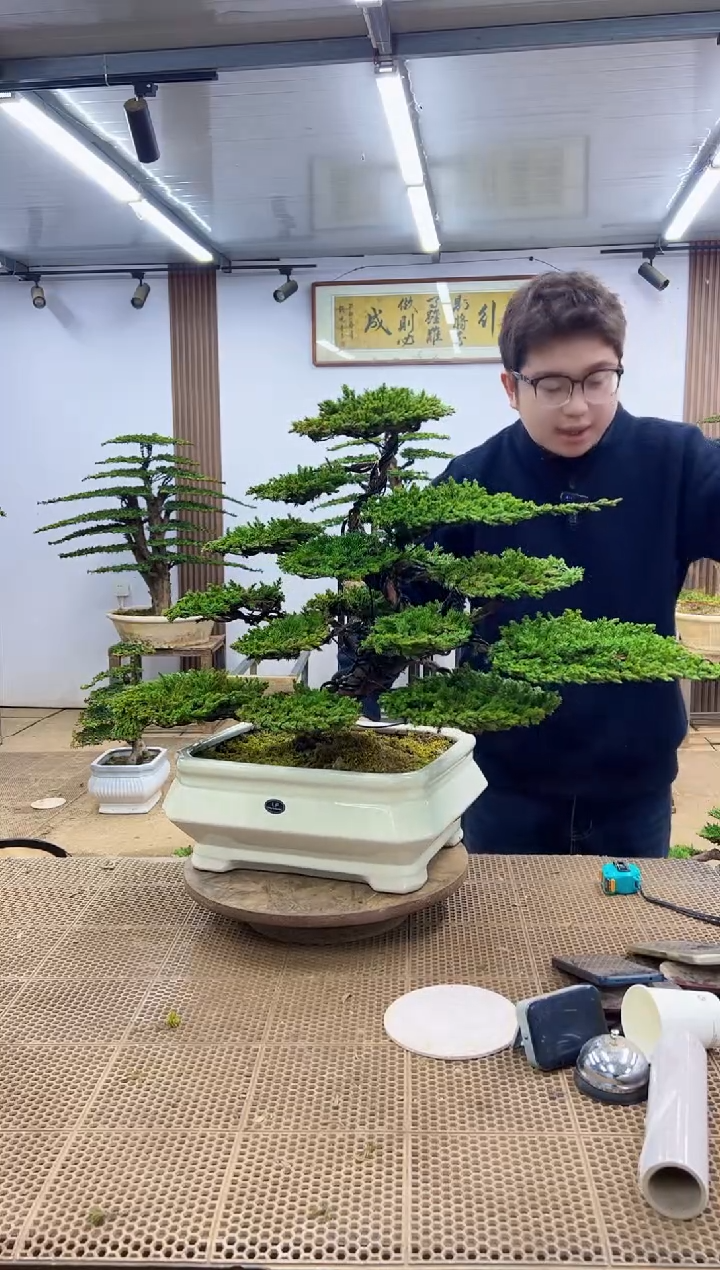 无花朵菲*0000000000000