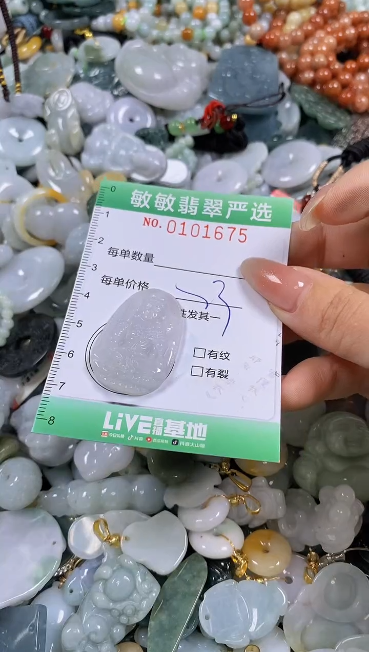 【闪购商品】翡翠颈饰未镶嵌闪购链接0101675