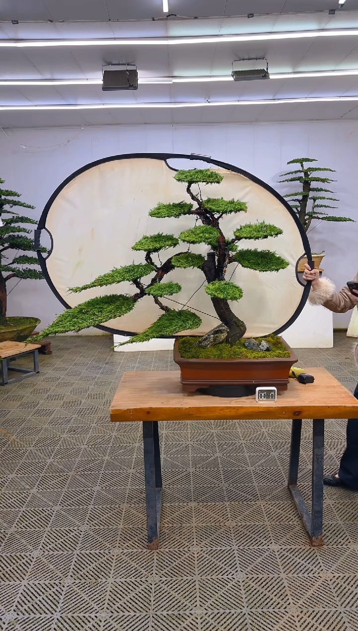 无花朵一物一拍一物一拍