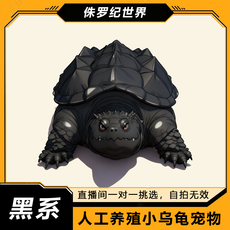 人工养殖小乌龟宠物