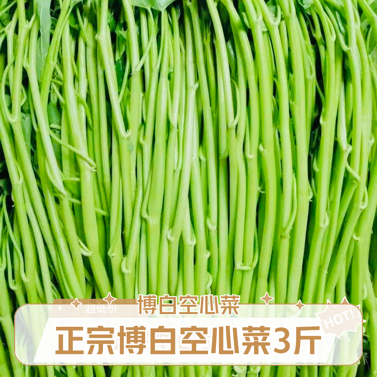正宗博白水标空心菜产地现摘现发青菜新鲜蔬菜3斤空心菜