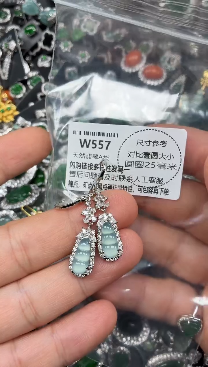 颈饰未镶嵌翡翠W557耳扣