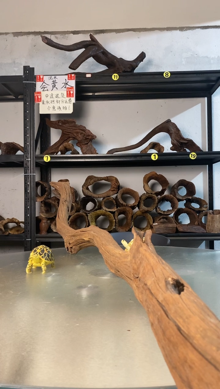 那*了鱼缸爬宠造景素材448