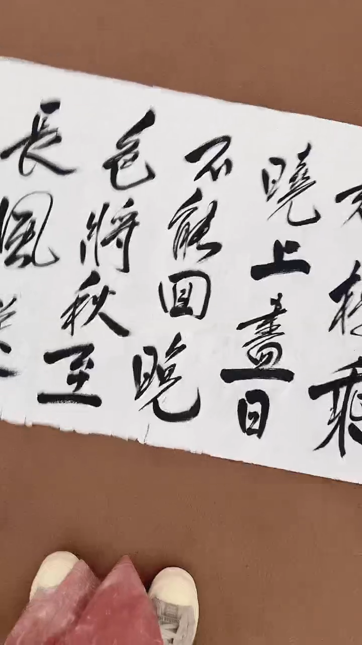 书法12-28-18范老师8平尺书法作品