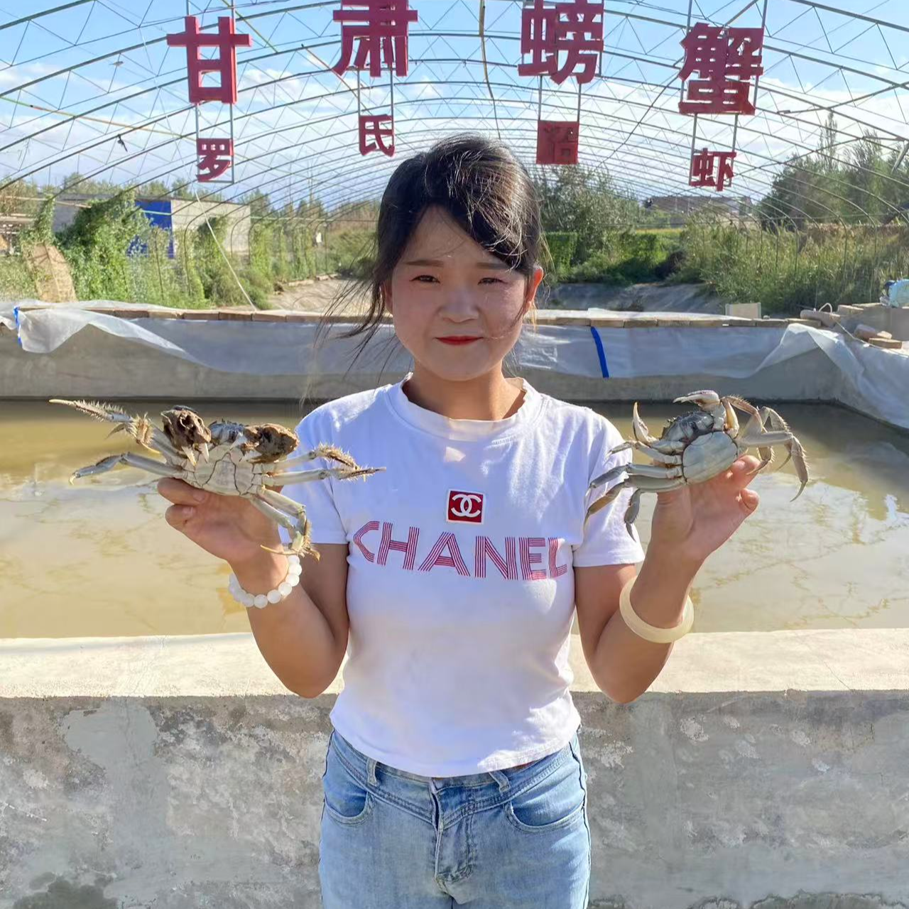 甘肃螃蟹公母混合1-1.3两小蟹3.5斤装每斤约10只多顺丰发货