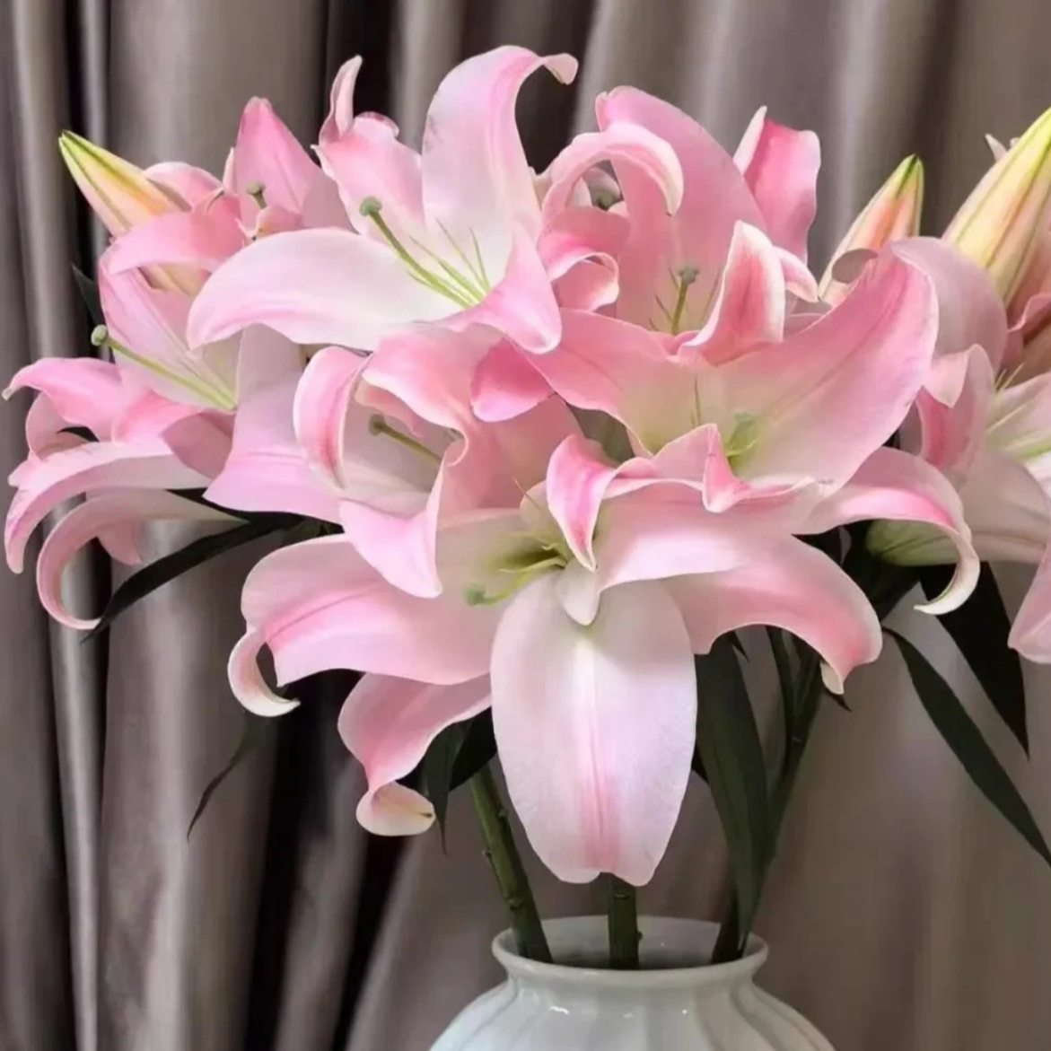 【任意色香水百合】  单瓣花卉 鲜花 水培 送保鲜剂